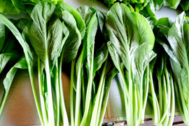 【宮崎県産】美味しい小松菜❗️200g×5袋(1kg)