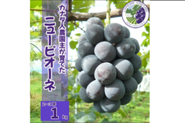【カナダ人農園主の真心を込めた】ニューピオーネ約1kg(ご家庭用)