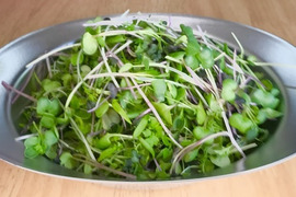 ルッコラの商品一覧|野菜|食べチョク|産地直送(産直)お取り寄せ通販 ...