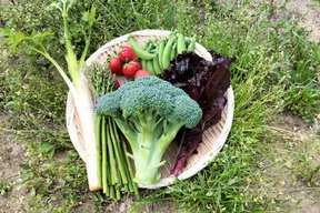 四季彩の旬野菜セット(4種類以上)【朝どれ】