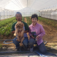 スマイル ファ－ム「マロン」