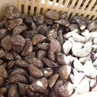 エム・ケイ・キャリア