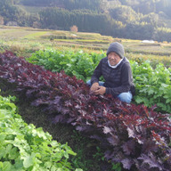 いしもと自然農園