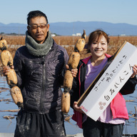 れんこんの家 やました