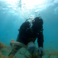 もずく本舗　まじむじ食品