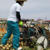 ふっちゃんファーム