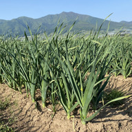 ながの宮下ファーム