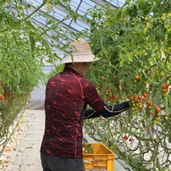 あま恋ファーム