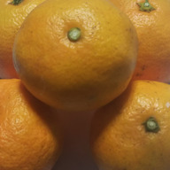 ブルーフィールド