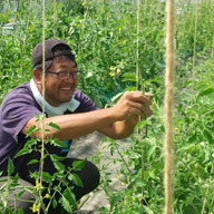 にきやファーム