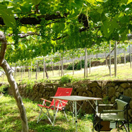 ひなたファーム