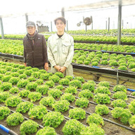 ミライファーム