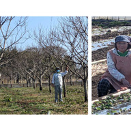 ファームマロン