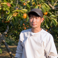 【愛媛名産の隠し柿】堀本農園