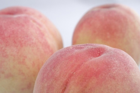 【早期予約価格】🍑レア品種 さくら白桃　約1.5kg 5玉前後　家庭用　採れたて農家直送【朝どれ】