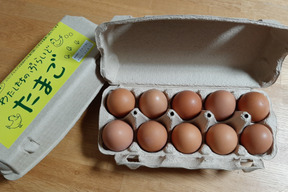【福袋】【冬ギフト】【単なる平飼いではない究極の卵】わたしたちのぷらいどたまご（60個入りケース）「熨斗対応可」
