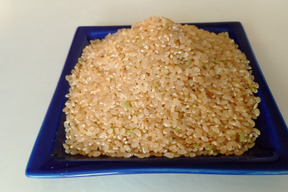 【令和7年新米】　福井県産　あきさかり　玄米　10Kg