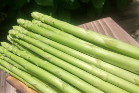 ＜発送開始＞山育ち！柔らかな春芽のアスパラ（ミックスサイズ）