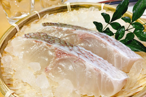 【熊本県認証】ふっくら肉厚！天草産「真鯛の切り身」【お得な10P入】約600g（養殖）急速凍結