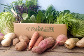 【福袋】今年一年の感謝を込めた冬の高原野菜セット