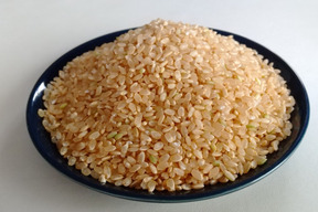 【令和7年新米】　福井県産　華越前　玄米　10Kg（除草剤不使用）