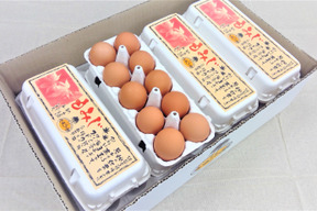 １０個入れパック入り国産鶏種もみじの新鮮たまご36個(４０個入り４個割れ保障,１０個入り４パック)