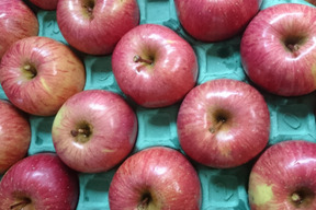 オーガニックりんご/サンふじ3キロ（有機JAS認証）