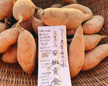 希少な幻の安納芋🍠濃厚な甘味で蜜溢れ出る焼き芋が簡単に🍯プチサイズ「安納黄金」（2㎏）ひとつひとつ紙に包んで丁寧にお届け📦熨斗承ります。【冬ギフト】【お歳暮】熨斗承ります。