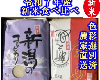 【福袋】　限定個数特別価格　新潟米豪華な食べ比べセット　新潟県産　従来種コシヒカリ　店頭で入手するのは難しい希少米　と　トップブランド　新之助（新潟県認証銘柄）　各白米5kgセット（10キロ）