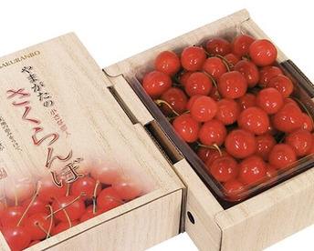 【 先行予約特価•佐藤錦 】さくらんぼ 山形県産 500g 🍒 【 果肉がジューシー 】【 お試し商品 】母の日 父の日ギフト M〜LL混合　朝どれ