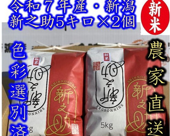 大粒で　粒感がありしっかりとした食感　冷めても固くなりにくい新米　新潟県のお米のトップブランド　新之助（新潟県認証銘柄）　白米5kg × 2個★農家直送★色彩選別済