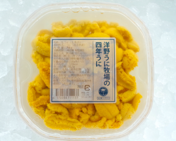 トロッととろける世界で唯一のうに！洋野うに牧場の四年うに（塩水パック）大容量250g/1パック