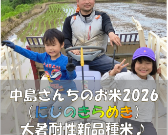 【2026年産新米予約】中島さんちのお米♪/生活応援米/にじのきらめき/猛暑でも食味がおちない新品種/無洗米（白米、玄米可）/5.1㎏/室温管理した安心安全なお米/数量限定/花農家のお米/