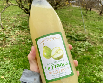 【濃厚🍐】ラ・フランス100％ストレートジュース【1000ml6本セット】