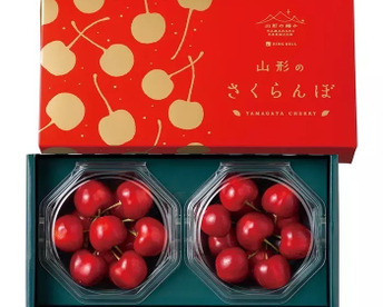 【 さくらんぼの王様 : 紅  王 】山形県産 新品種　2L〜3Ｌ玉　200g　【 500円玉サイズ 】【 お中元•ギフト 】🍒 【 朝どれ 】