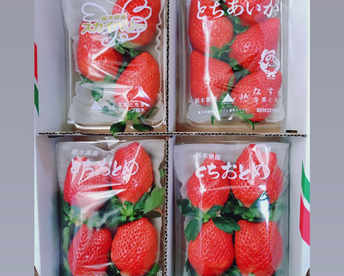 とちぎの完熟いちご３種の食べ比べセット
(とちあいか・スカイベリー・とちおとめ)
【いちご食べ比べ】