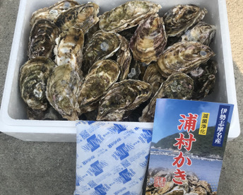 【1月出荷】【生牡蠣】【生食用】三重県産 殻付き 浦村かき
S～Mサイズ 20個入り 1.8Kg (2～4人前）
牡蠣 貝類 海鮮 バーベキュー 母の日父の日【冬ギフト】【生で食べれる美味い牡蠣】