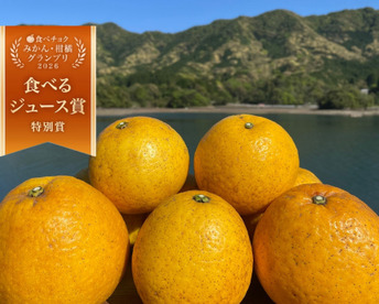 箱込み12kg 河内晩柑（あまくさ晩柑）栽培期間中に農薬、化学肥料不使用　【熊本県天草特産】
