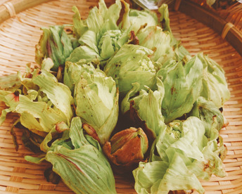 【使いきりサイズ】雪解けふきのとう！(200ｇ)朝採りほろ苦さと香り高い天然もの　春の山菜1番手！《ご予約品》