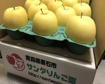 青森りんご　金星(きんせい)　家庭用　３キロ　品種名、見た目と縁起が良く、甘いりんご！　農家直送