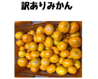 【訳あり】木下さんちのみかん10キロ(5キロ×2箱)