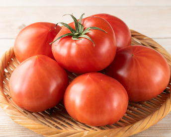 【完熟】あいちの伝統野菜『ファーストトマト』小箱約1kg