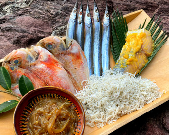 【福袋】厳選７品入り★漁師おまかせセット（中）