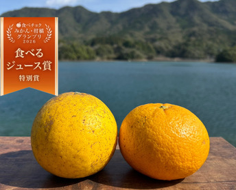 箱込み12kg 河内晩柑&甘夏　栽培期間中に農薬、化学肥料不使用 柑橘セット【柑橘食べ比べ】
