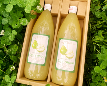 【ラフランス専業農家が贈る🍐】ラ･フランス100％ストレートジュース1000ml2本【母の日ギフト】