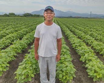 【予約受付開始】松浦さんちの朝採りだだちゃ豆1.8キロ【600ｇ入×3袋】鶴岡特産の枝豆です。