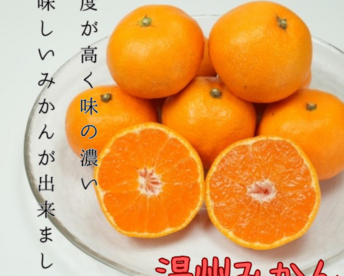 極上小玉みかん3kg