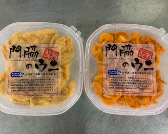 「門脇のウニ」食べ比べセット 塩水生ウニ
