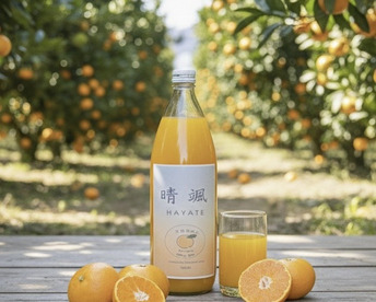 【数量限定】希少ブランドみかん100％ジュース　1L