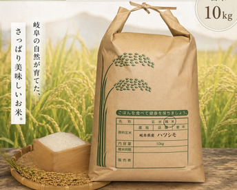 岐阜のお米 ハツシモ  
令和7年産  白米 10Kg 🍚